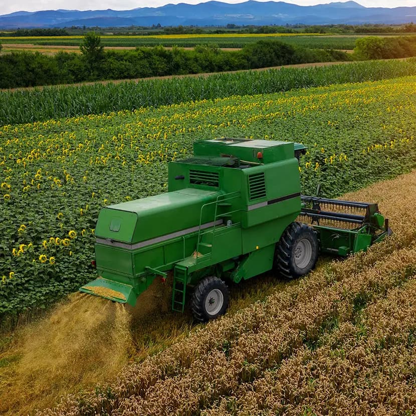 Green combine harvester working in a crop field for agricultural applications