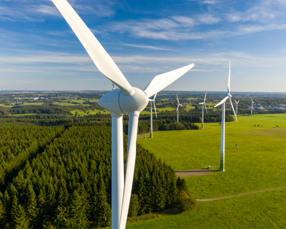 renewable energy