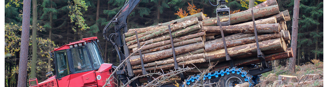 A-logging-harversting-or-processing-head-is-being-used-to-delimb-and-cut-to-length-logs-before-stacking