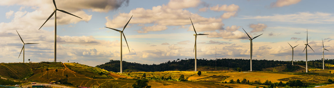 Wind Turbines Using Universal Level Sensors in Renewable Energy