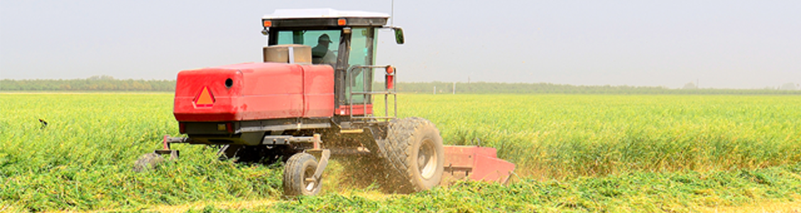 Windrower working a field