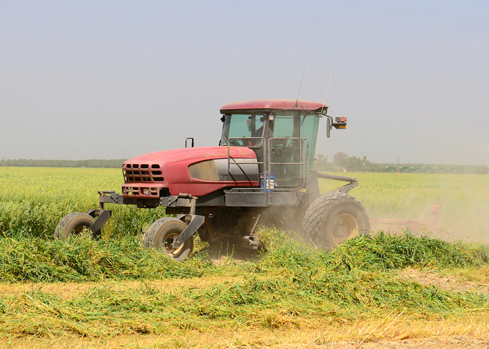 Windrower working a field