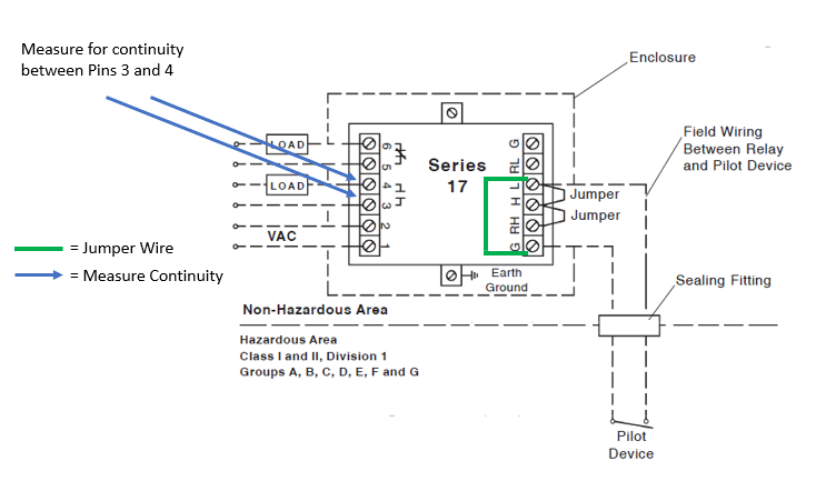 DM 1