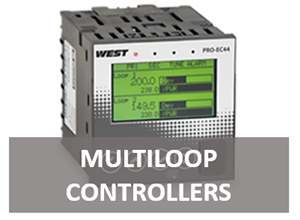 Multiloop Controller